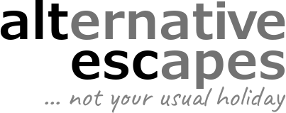 Alternative Escapes Logo